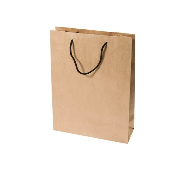 Small Kraft Rope Handle Paper Carry Bag Apex Display