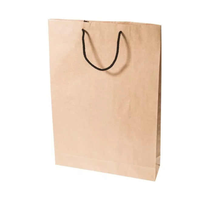 Medium Kraft Rope Handle Paper Bag Apex Display