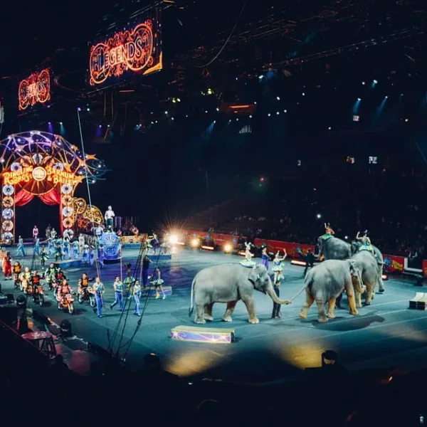 Your shop, the circus