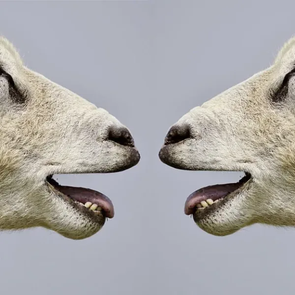 What you are REALLY Saying to Your Customers