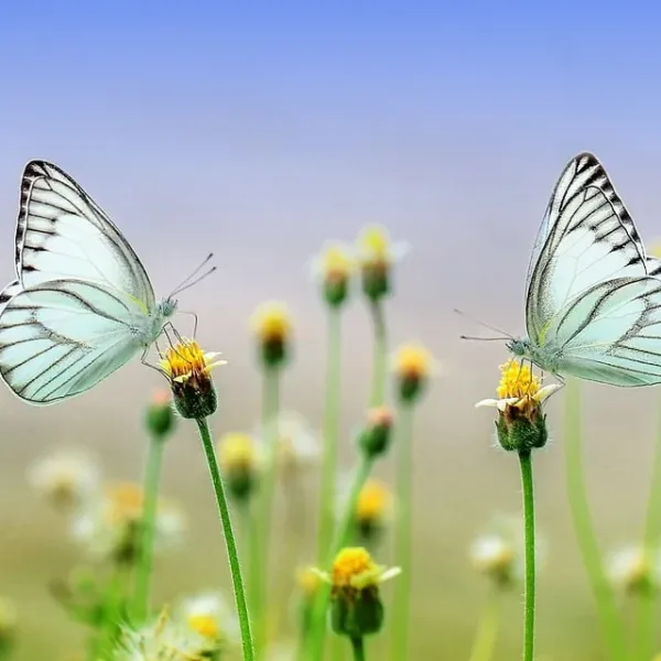 5 Great Ways to Boost Your Spring Sales