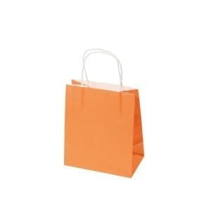 Toddler Citrus Orange Paper Carry Bags