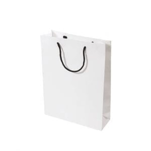 Small White Rope Handle Paper Carry Bag