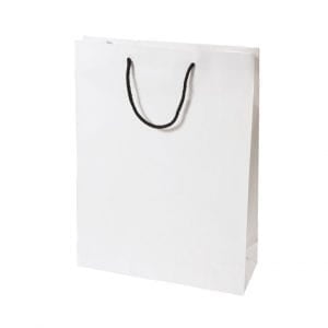 Medium White Rope Handle Paper Carry Bag
