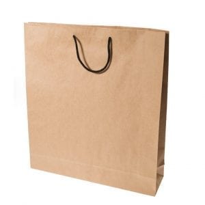 Large Kraft Rope Handle Paper Carry Bag