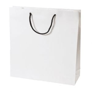 Large White Rope Handle Paper Carry Bag