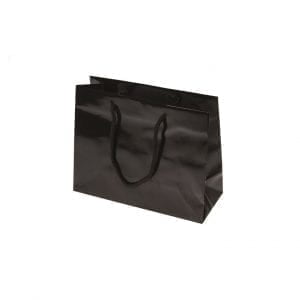 Junior Boutique Black High Gloss Laminated Carry Bag