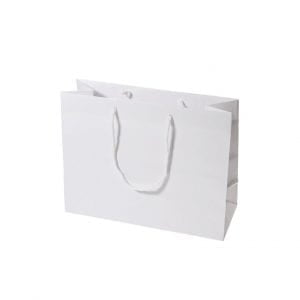 Small Boutique White High Gloss Laminated Carry Bag