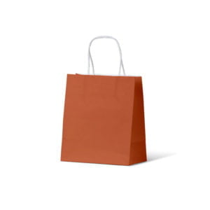 Toddler Burnt Orange Paper Carry Bags
