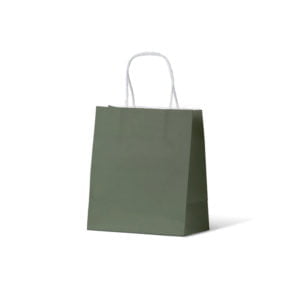 Toddler Earth Green Paper Carry Bags