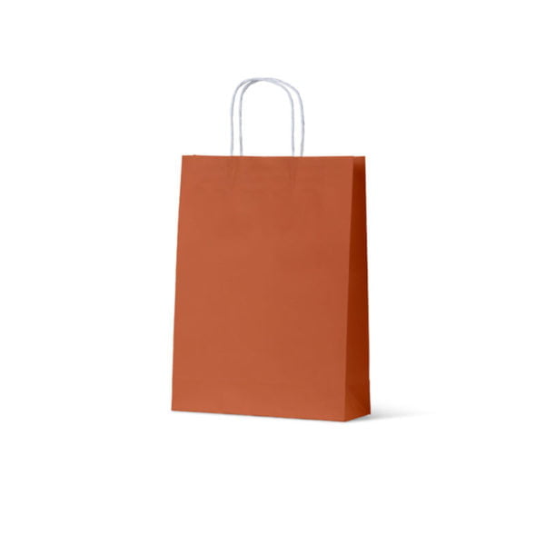 CK2321BO Small Burnt Orange Paper Carry Bags.jpg