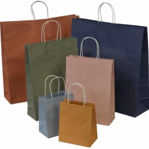 Earth Collection Paper Bags