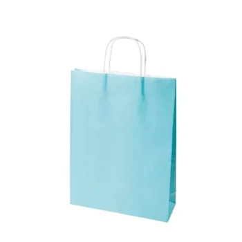 Small Beach Blue Paper Carry Bags