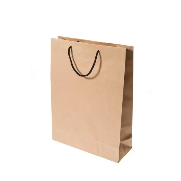 A Midi Kraft Rope Handle Paper Carry Bag in plain brown with black cord handles, standing against a white background.