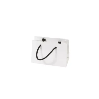 Mini Boutique White Rope Handle Paper Carry Bag