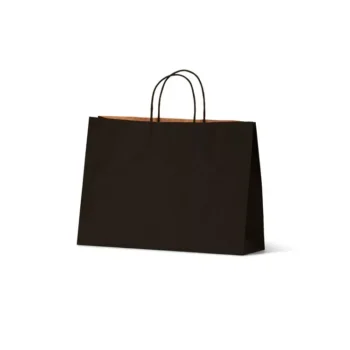Small Boutique Black Paper Carry Bag