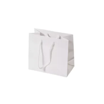 Runt White High Gloss Laminated Carry Bag