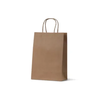 Junior Kraft Paper Carry Bags