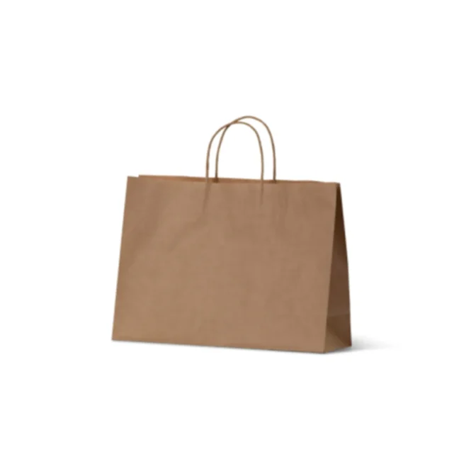 A Small Boutique Kraft Paper Carry Bag with two handles is set against a plain white background. The bag stands upright, casting a shadow to the right, suggesting that the light source is coming from the left.