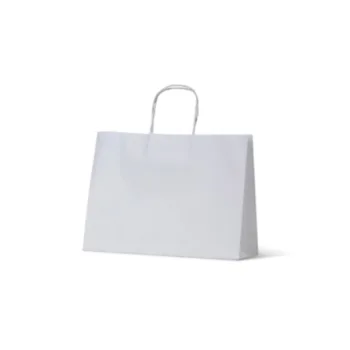 Small Boutique White Paper Carry Bags