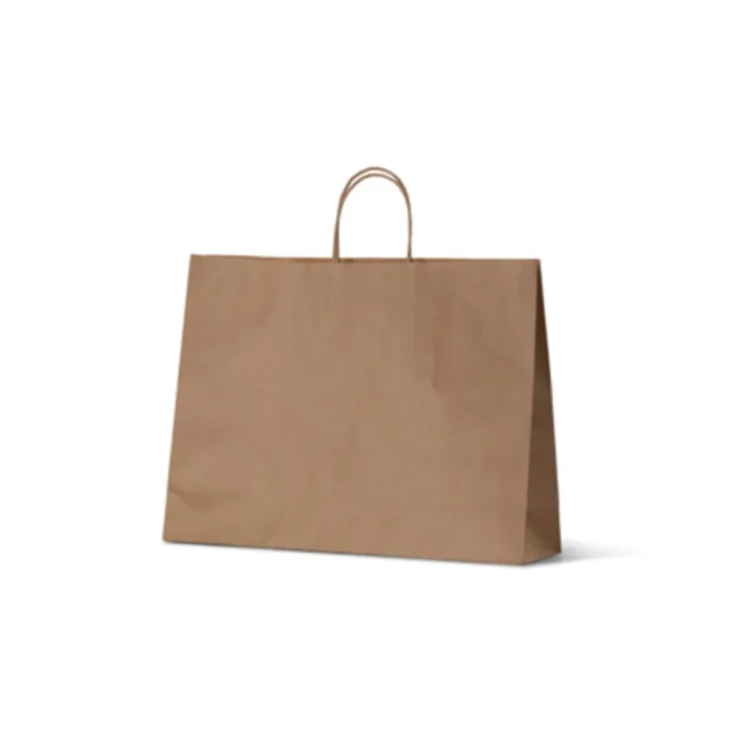 A Midi Boutique Kraft Paper Carry Bag in a large size stands upright against a white background. Its plain brown design with handles highlights its eco-friendly and practical nature, making it an ideal choice for conscious shoppers.