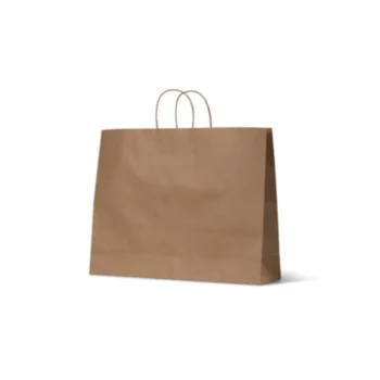 Medium Boutique Kraft Paper Carry Bags