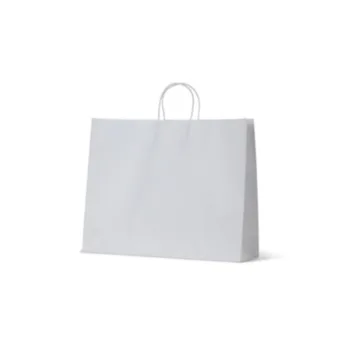 Medium Boutique White Paper Carry Bags
