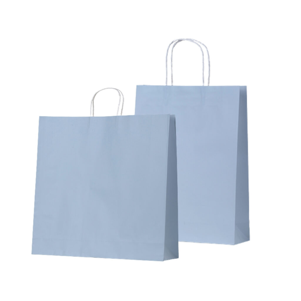 french blue paper carry bag landscape & portrait