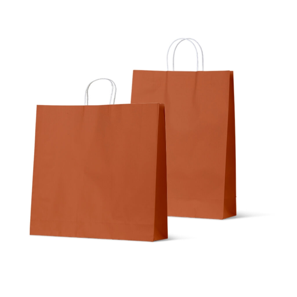 burnt orange paper carry bag landscape & portrait