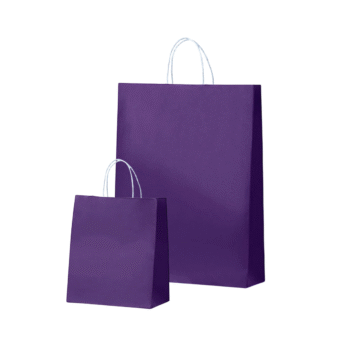 Purple Paper Bags with Twisted Handles – Passion Purple