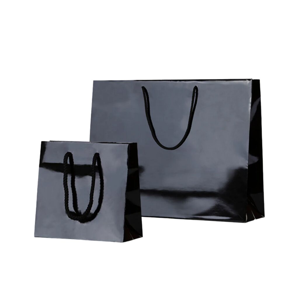 High Gloss Paper Carry Bag Landscape & Portrait