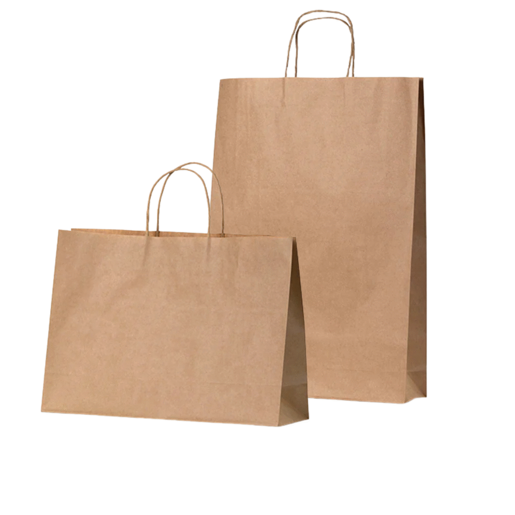 Kraft Twisted Handle Paper Carry Bag Landscape & Portrait