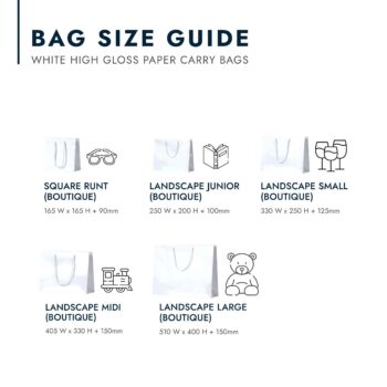 White Gloss Paper Bags with Rope Handles