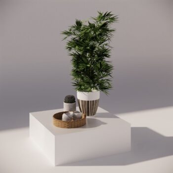 Display Pedestal – Square – 1180 x 1180 x 600mm H
