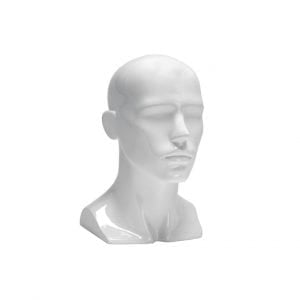 White High Gloss Male Display Head